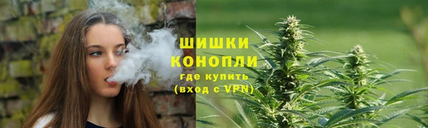 спиды Аркадак