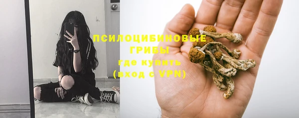 первитин Армянск