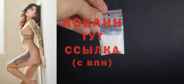 спиды Аркадак