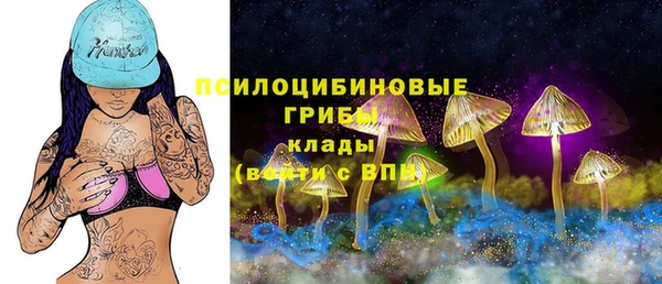 спиды Аркадак